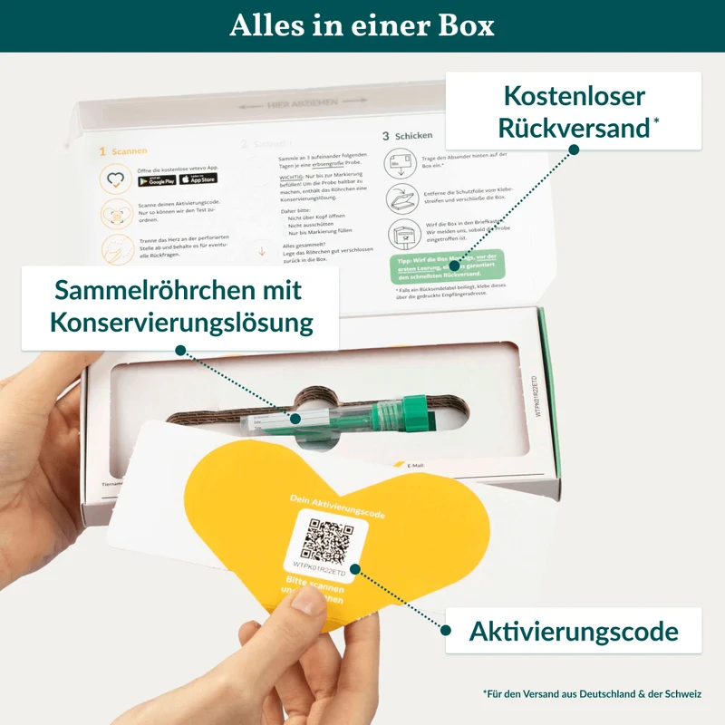 Vetevo Wurmtest Basic für Hunde – Zuverlässige Kotprobe auf 7 Wurmarten & Parasiten, einfach zuhause