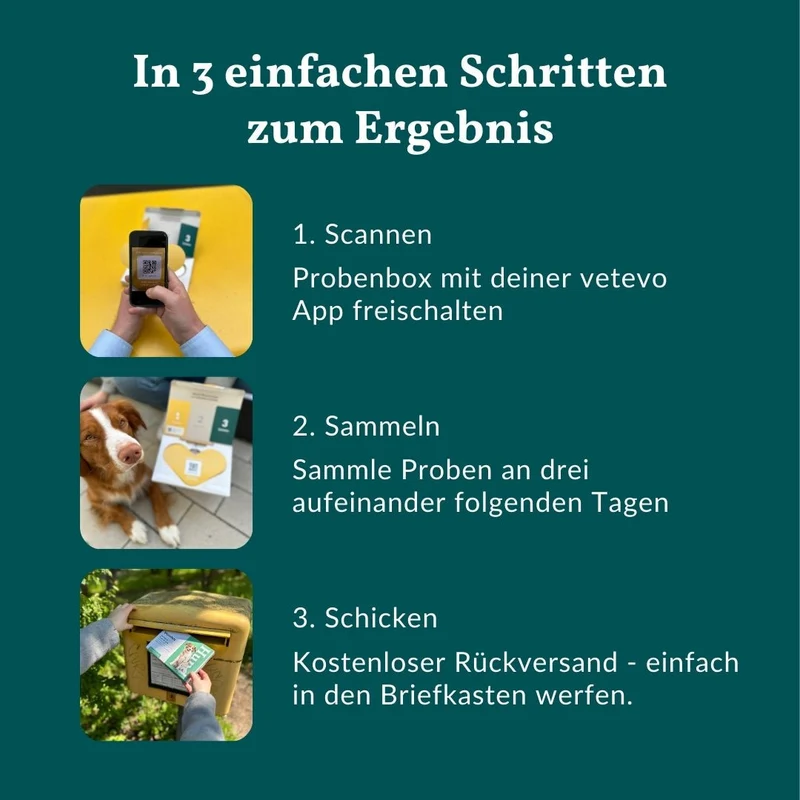 Vetevo Wurmtest Basic für Hunde – Zuverlässige Kotprobe auf 7 Wurmarten & Parasiten, einfach zuhause