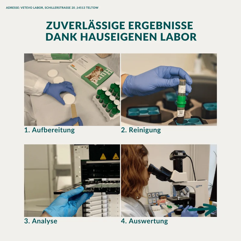 Vetevo Wurmtest Basic für Hunde – Zuverlässige Kotprobe auf 7 Wurmarten & Parasiten, einfach zuhause