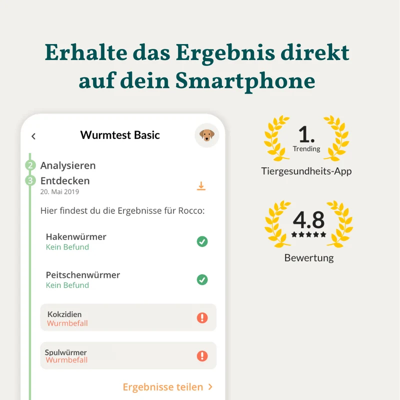 Vetevo Wurmtest Basic für Hunde – Zuverlässige Kotprobe auf 7 Wurmarten & Parasiten, einfach zuhause