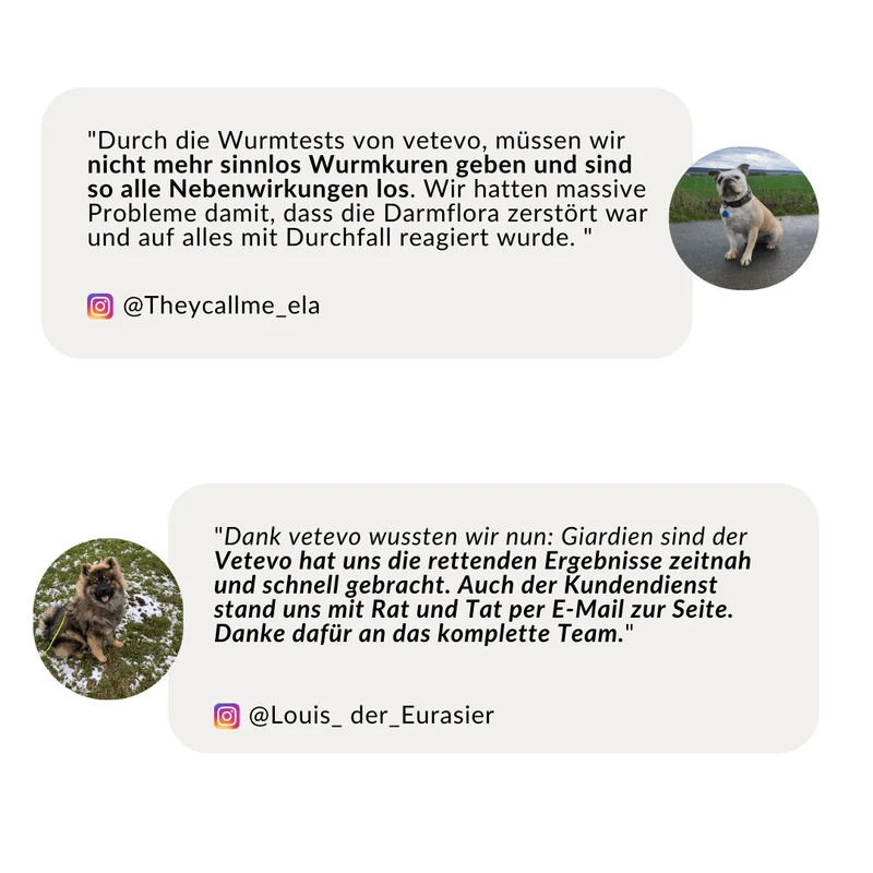 Vetevo Wurmtest Basic für Hunde – Zuverlässige Kotprobe auf 7 Wurmarten & Parasiten, einfach zuhause