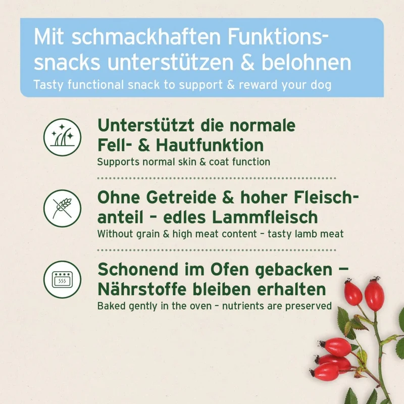 AniForte Fell & Haut Snack für Hunde – Natürliche Unterstützung bei Juckreiz & Hautproblemen für gesundes, glänzendes Fell