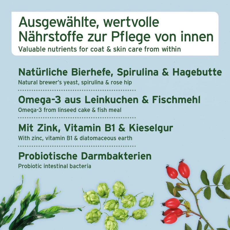 AniForte Fell & Haut Snack für Hunde – Natürliche Unterstützung bei Juckreiz & Hautproblemen für gesundes, glänzendes Fell