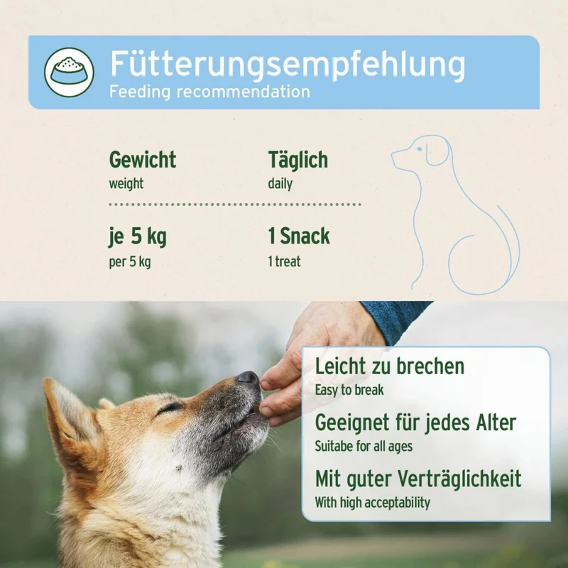 AniForte Fell & Haut Snack für Hunde – Natürliche Unterstützung bei Juckreiz & Hautproblemen für gesundes, glänzendes Fell