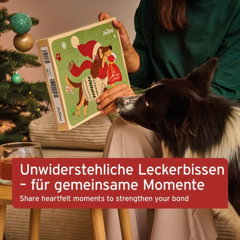 AniForte Hunde Adventskalender 2025 - 24 Premium Leckerlis Getreidefrei & Luftgetrocknet für Natürlichen Genuss