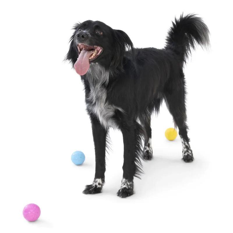 West Paw Zogoflex Boundr – Robuster Hundeball für Apportierer, Wasserratten & Kau-Enthusiasten | Spülmaschinenfest, schwimmfähig & kompatibel mit Ballschleudern