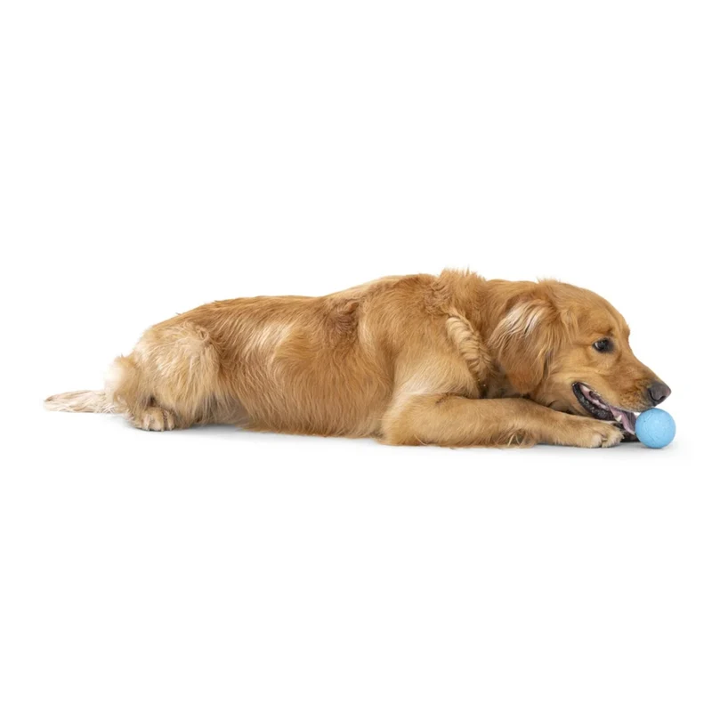 West Paw Zogoflex Boundr – Robuster Hundeball für Apportierer, Wasserratten & Kau-Enthusiasten | Spülmaschinenfest, schwimmfähig & kompatibel mit Ballschleudern
