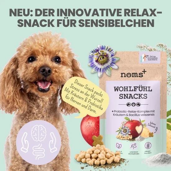 Noms+ Wohlfühlsnacks für Hunde | Bei Stress, Angst, Unruhe & Hyperaktivität | 100% vegan & tierleidfrei | 200g