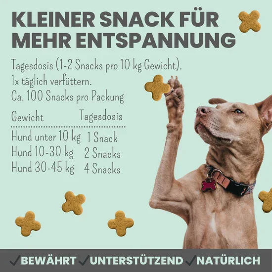 Noms+ Wohlfühlsnacks für Hunde | Bei Stress, Angst, Unruhe & Hyperaktivität | 100% vegan & tierleidfrei | 200g