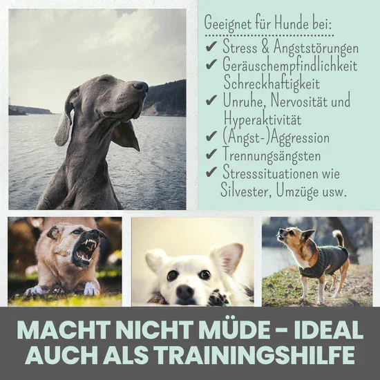 Noms+ Wohlfühlsnacks für Hunde | Bei Stress, Angst, Unruhe & Hyperaktivität | 100% vegan & tierleidfrei | 200g