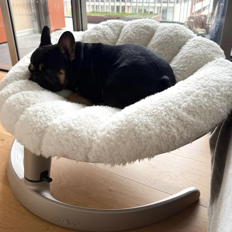 Schwingendes Haustierbett SHELL von TAVO| Für Hund & Katze | GREENGUARD-Gold-Zertifizierung | Farbe: Latte