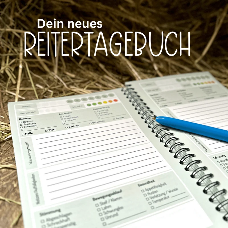 Stallgeschichten – jahresunabhängiges Reitertagebuch