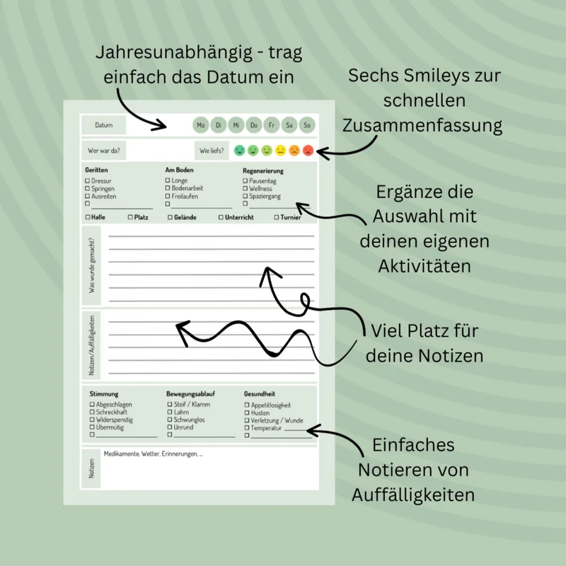 Stallgeschichten – jahresunabhängiges Reitertagebuch