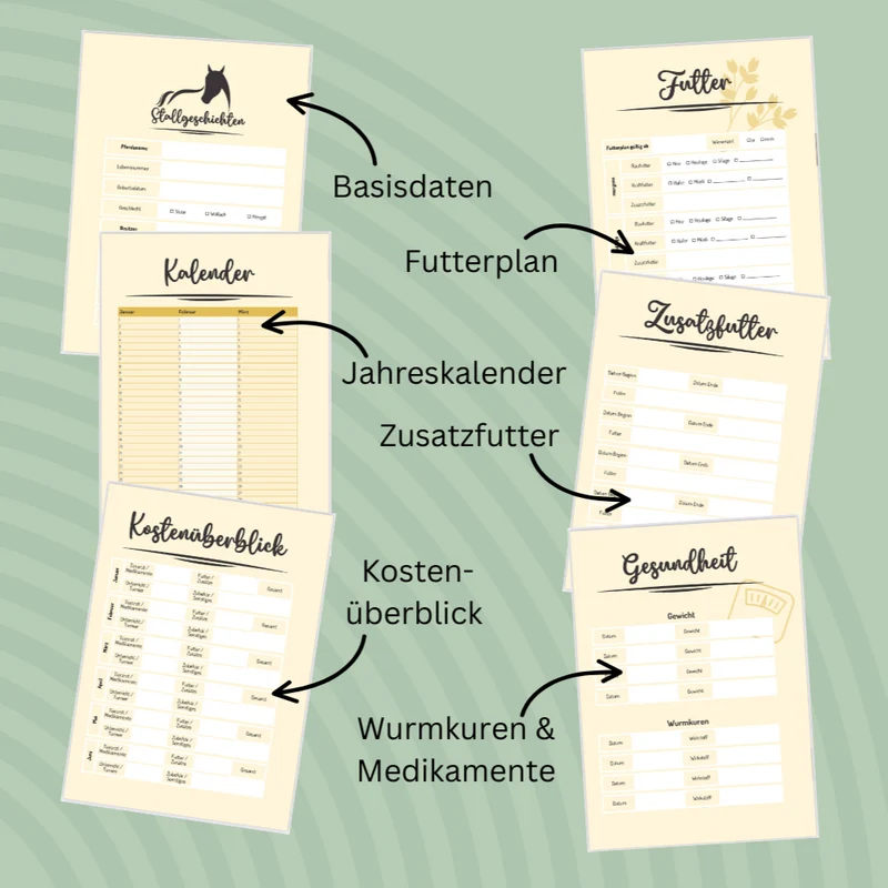 Stallgeschichten – jahresunabhängiges Reitertagebuch
