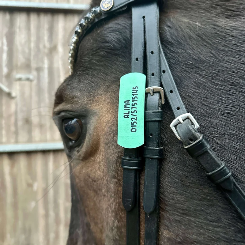 BridleBadge - Trensenbeschriftung mit Notfallnummer