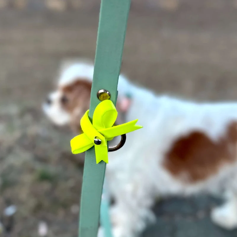 Gelbe Schleife für Hunde – Signal für mehr Abstand