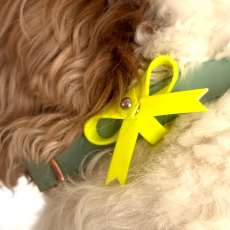 Gelbe Schleife für Hunde – Signal für mehr Abstand
