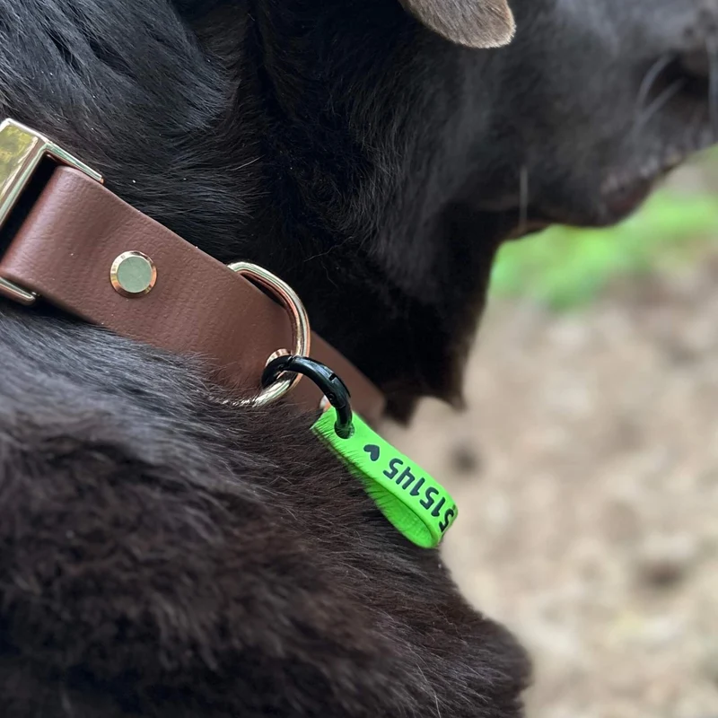 Hunde-Notfallmarke mit Telefonnummer – klapperfrei