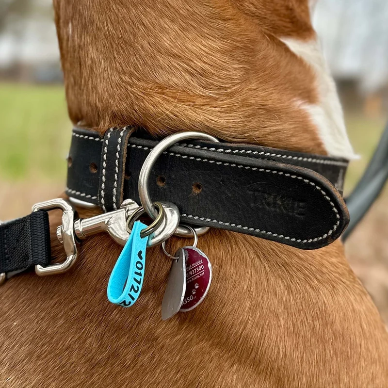 Hunde-Notfallmarke mit Telefonnummer – klapperfrei