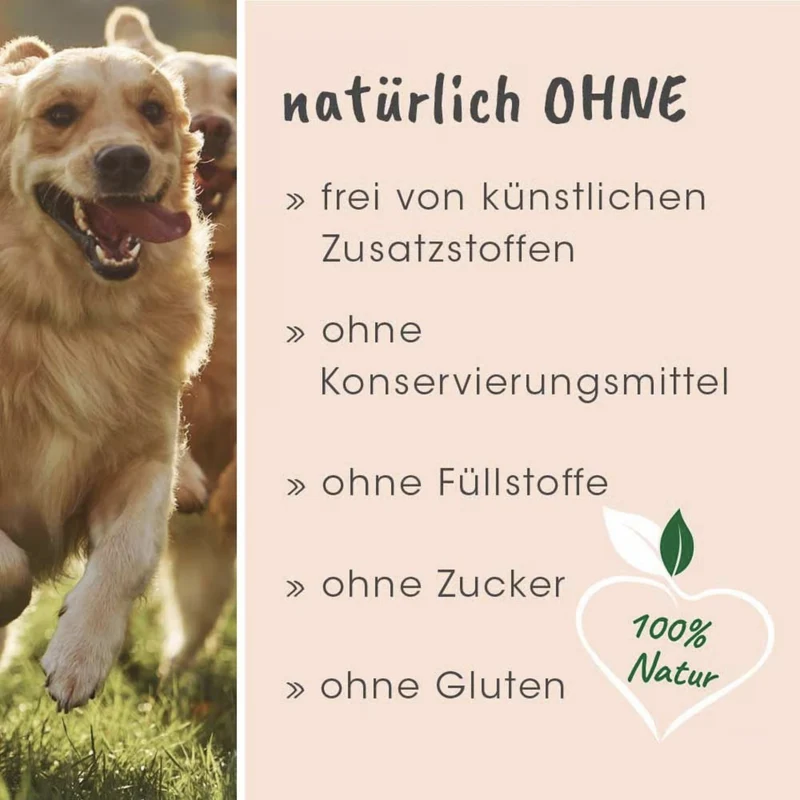 cdVet Singulares Ägyptisches Bio-Schwarzkümmelöl – Natürliche Unterstützung für Immunsystem, Vitalität & Leistungsfähigkeit bei Hunden, Katzen & Pferden