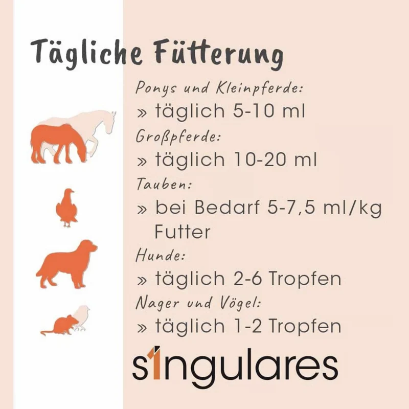 cdVet Singulares Ägyptisches Bio-Schwarzkümmelöl – Natürliche Unterstützung für Immunsystem, Vitalität & Leistungsfähigkeit bei Hunden, Katzen & Pferden