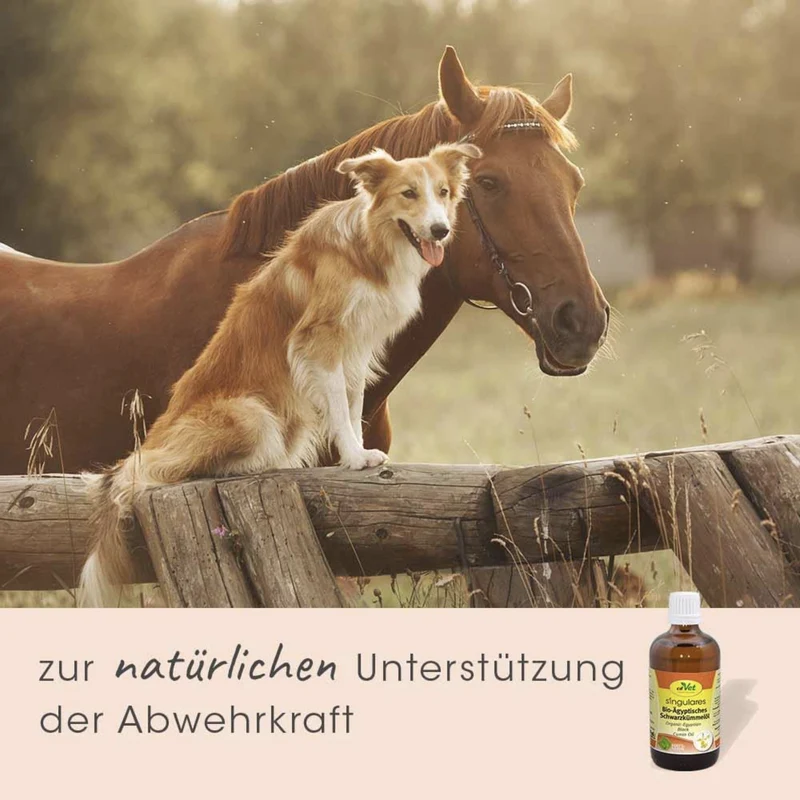 cdVet Singulares Ägyptisches Bio-Schwarzkümmelöl – Natürliche Unterstützung für Immunsystem, Vitalität & Leistungsfähigkeit bei Hunden, Katzen & Pferden