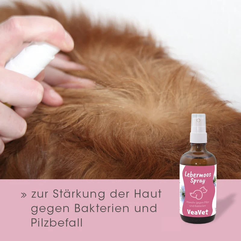 cdVet VeaVet Lebermoos Spray – Natürliche Hautpflege bei Juckreiz, Rötungen & Hautirritationen für Hunde, Katzen & Nager