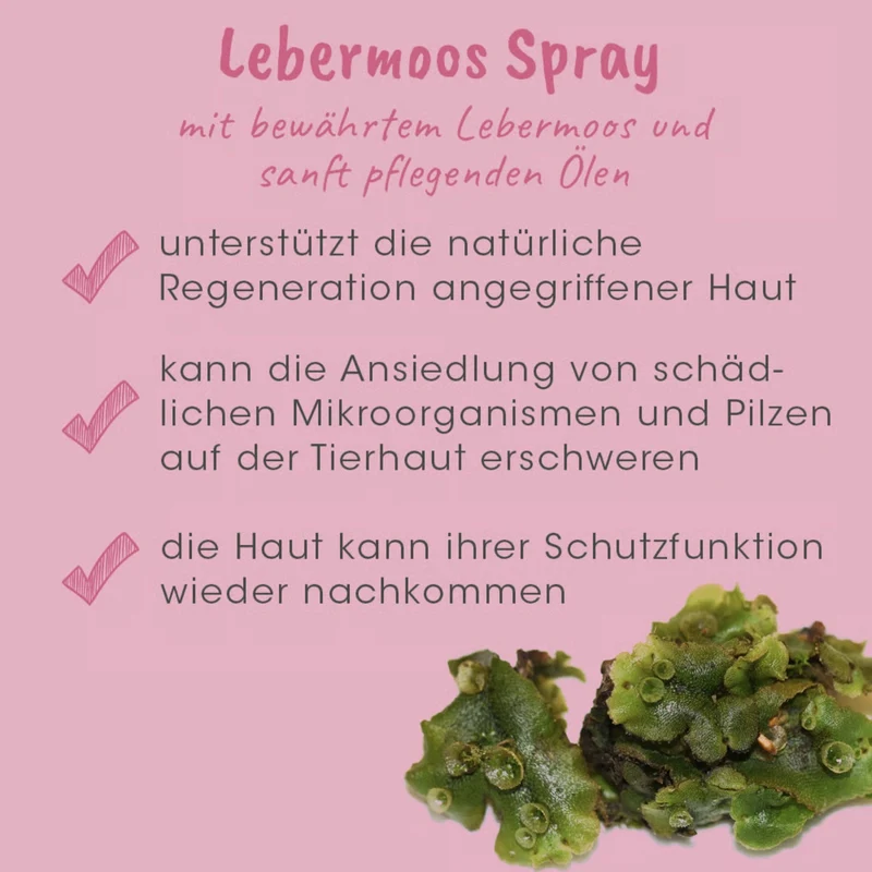 cdVet VeaVet Lebermoos Spray – Natürliche Hautpflege bei Juckreiz, Rötungen & Hautirritationen für Hunde, Katzen & Nager