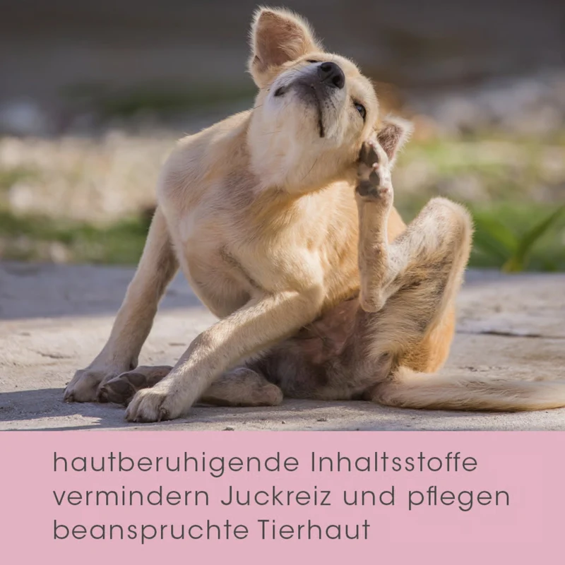 cdVet VeaVet Lebermoos Spray – Natürliche Hautpflege bei Juckreiz, Rötungen & Hautirritationen für Hunde, Katzen & Nager