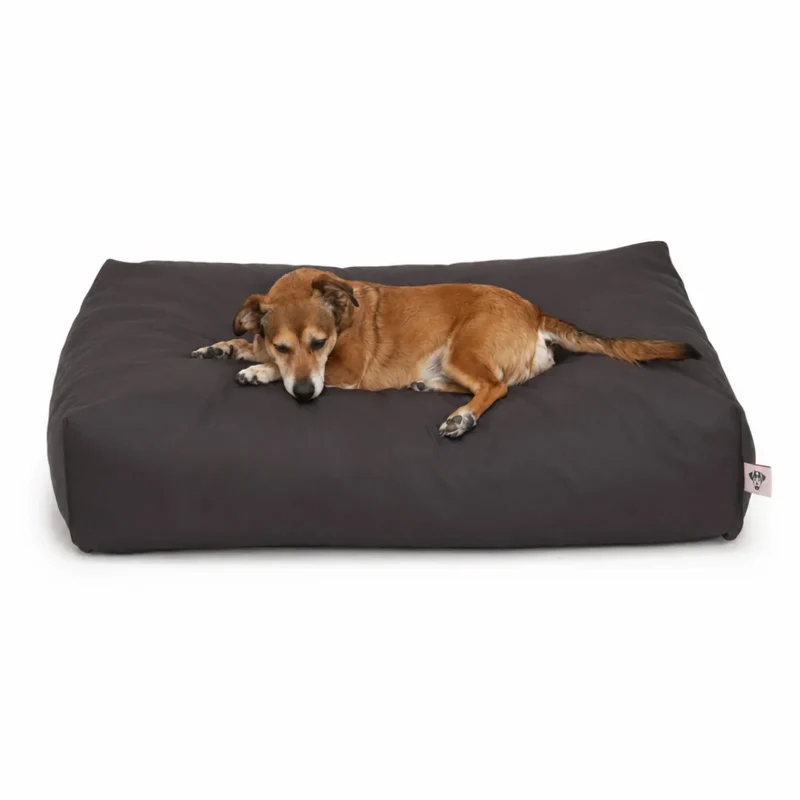 Orthopädisches Hundekissen BUDDYstyle HOUND&NATURE | Härtegrad variierbar | Wasserdicht & recycelt | Grau