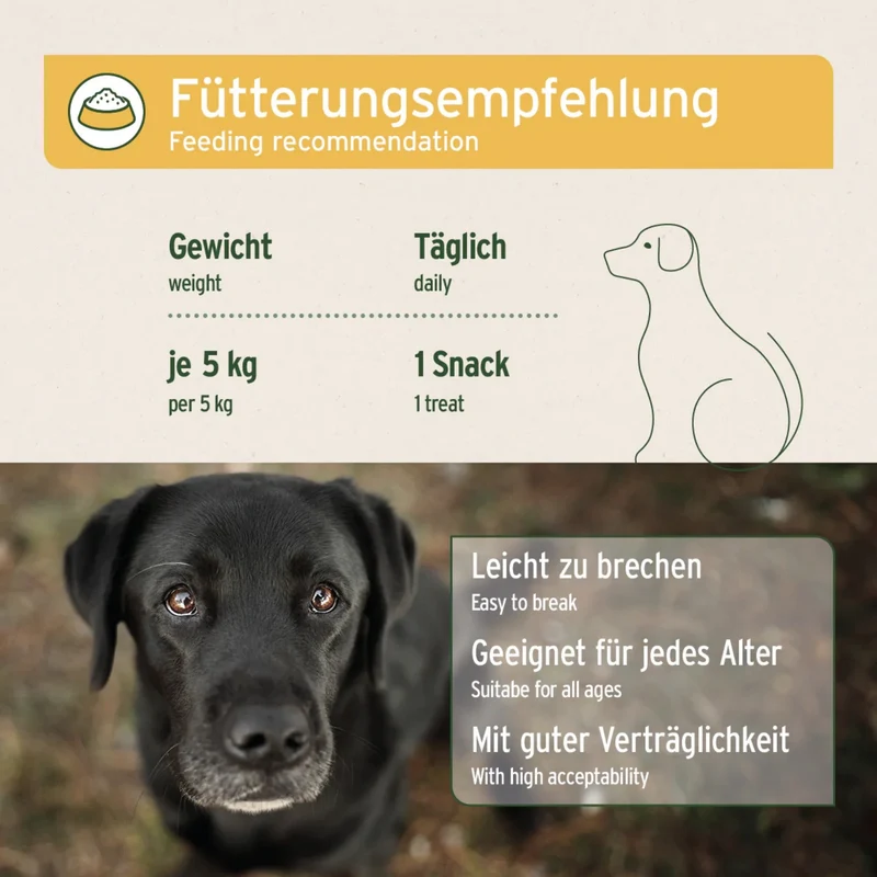 AniForte Magen & Darm Snack für Hunde – Präbiotische Funktionssnacks für gesunde Verdauung