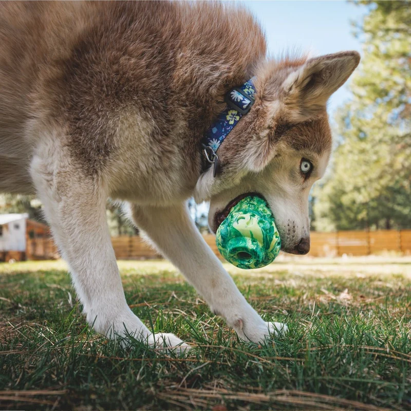 Ruffwear Morel – Interaktives Puzzle-Hundespielzeug aus Naturkautschuk für mentale Auslastung und Kauspaß