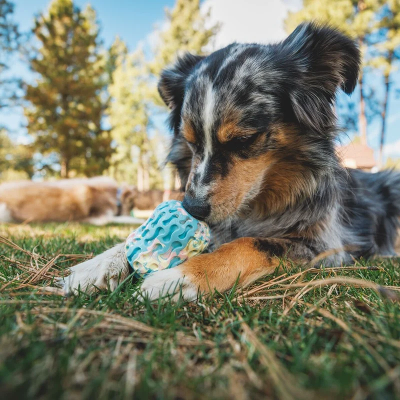 Ruffwear Morel – Interaktives Puzzle-Hundespielzeug aus Naturkautschuk für mentale Auslastung und Kauspaß