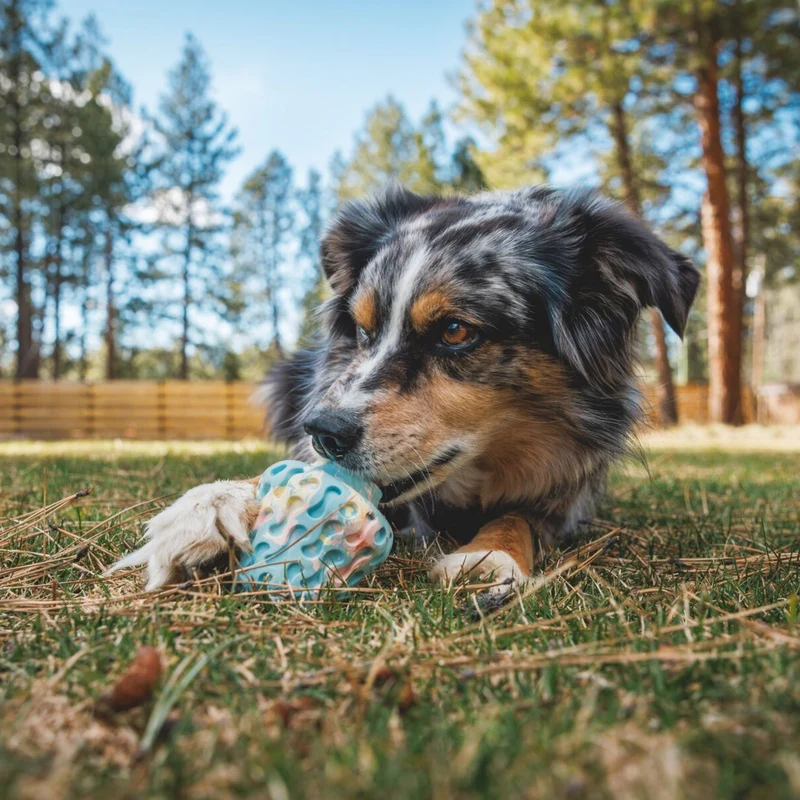 Ruffwear Morel – Interaktives Puzzle-Hundespielzeug aus Naturkautschuk für mentale Auslastung und Kauspaß