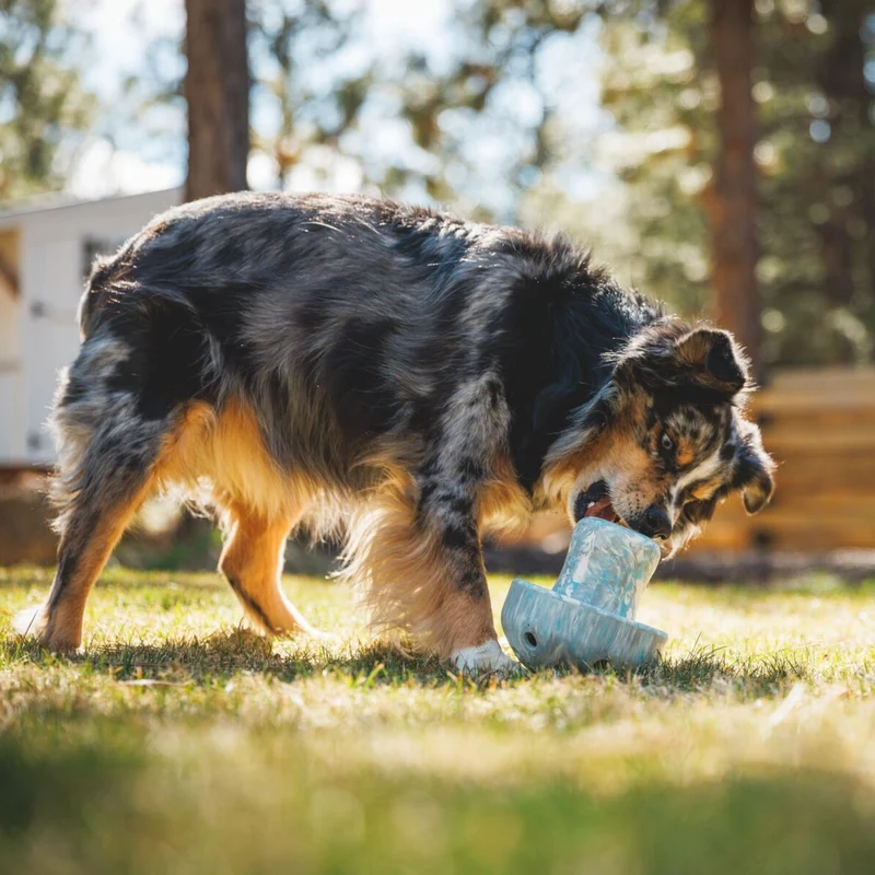 Ruffwear Porcini – Interaktives Intelligenzspielzeug & Slow Feeder aus robustem Latexkautschuk für mentale Auslastung und gesunde Fütterung