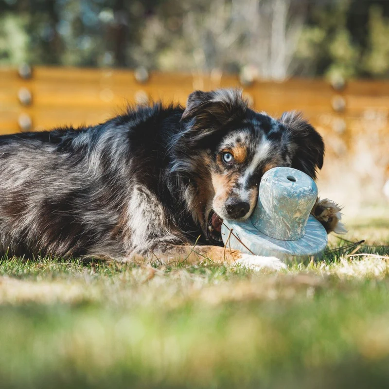 Ruffwear Porcini – Interaktives Intelligenzspielzeug & Slow Feeder aus robustem Latexkautschuk für mentale Auslastung und gesunde Fütterung