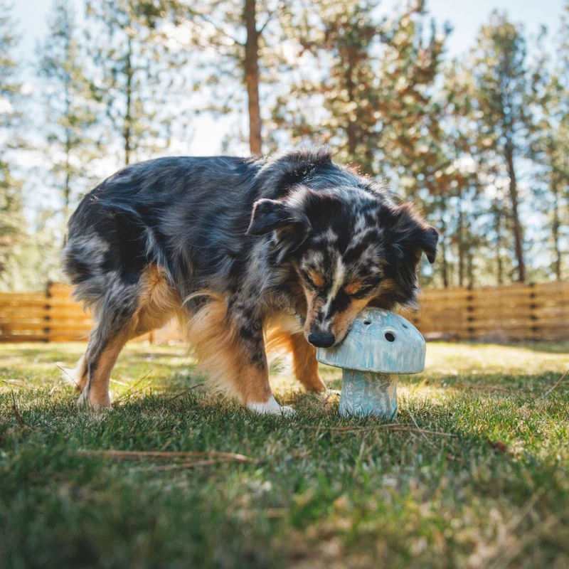 Ruffwear Porcini – Interaktives Intelligenzspielzeug & Slow Feeder aus robustem Latexkautschuk für mentale Auslastung und gesunde Fütterung