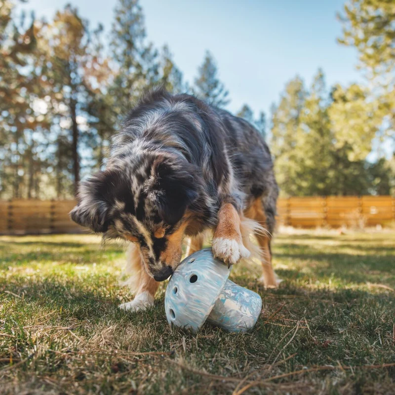 Ruffwear Porcini – Interaktives Intelligenzspielzeug & Slow Feeder aus robustem Latexkautschuk für mentale Auslastung und gesunde Fütterung