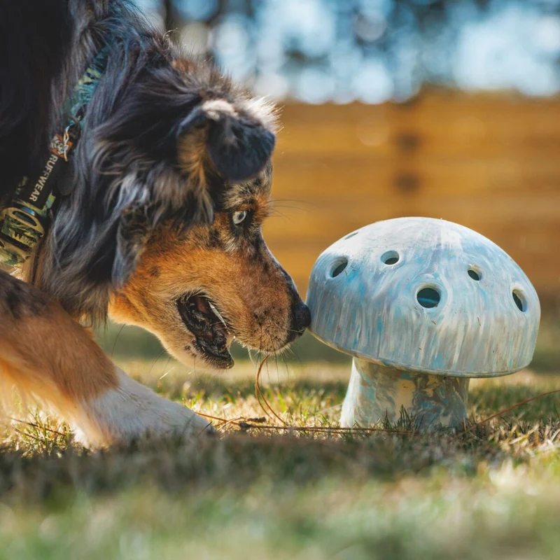 Ruffwear Porcini – Interaktives Intelligenzspielzeug & Slow Feeder aus robustem Latexkautschuk für mentale Auslastung und gesunde Fütterung