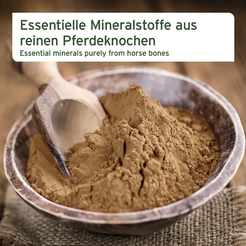AniForte Gemahlene Pferdeknochen für Hunde – Natürliche BARF-Ergänzung für starke Knochen & gesunde Zähne