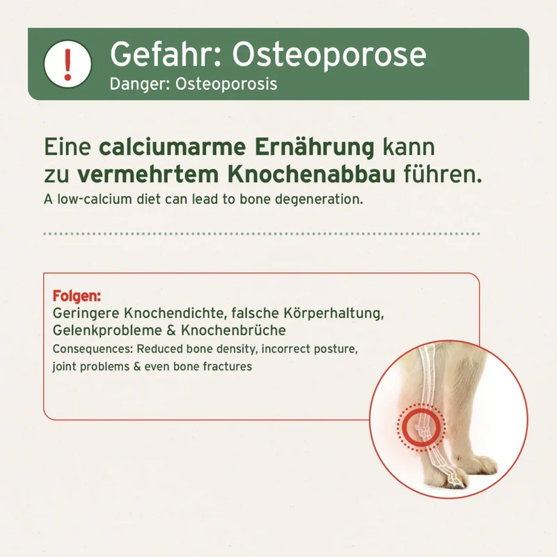 AniForte Gemahlene Pferdeknochen für Hunde – Natürliche BARF-Ergänzung für starke Knochen & gesunde Zähne