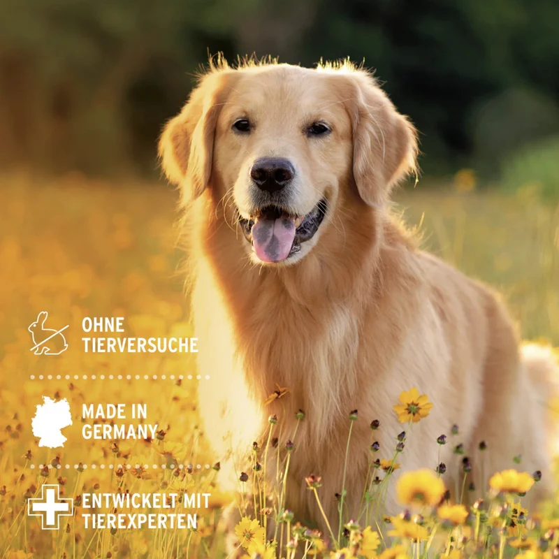 AniForte VET Ohrentropfen für Hunde & Katzen – Sanfte Pflege bei Juckreiz & Irritationen
