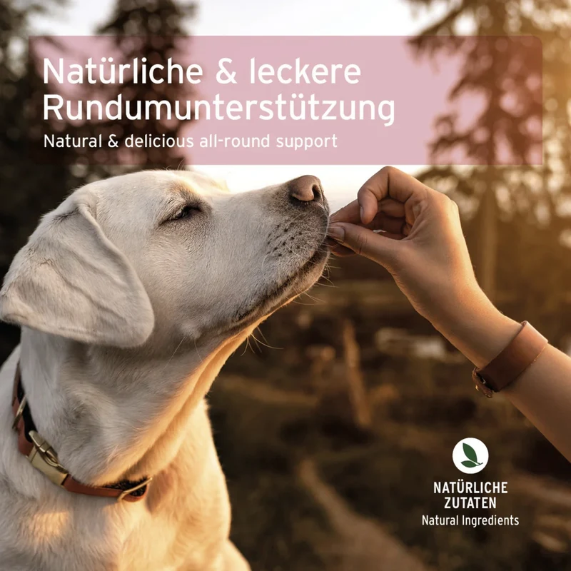 AniForte 4in1-Snack mit Rinderpansen – Natürliche Unterstützung für Haut, Fell, Gelenke & Immunsystem