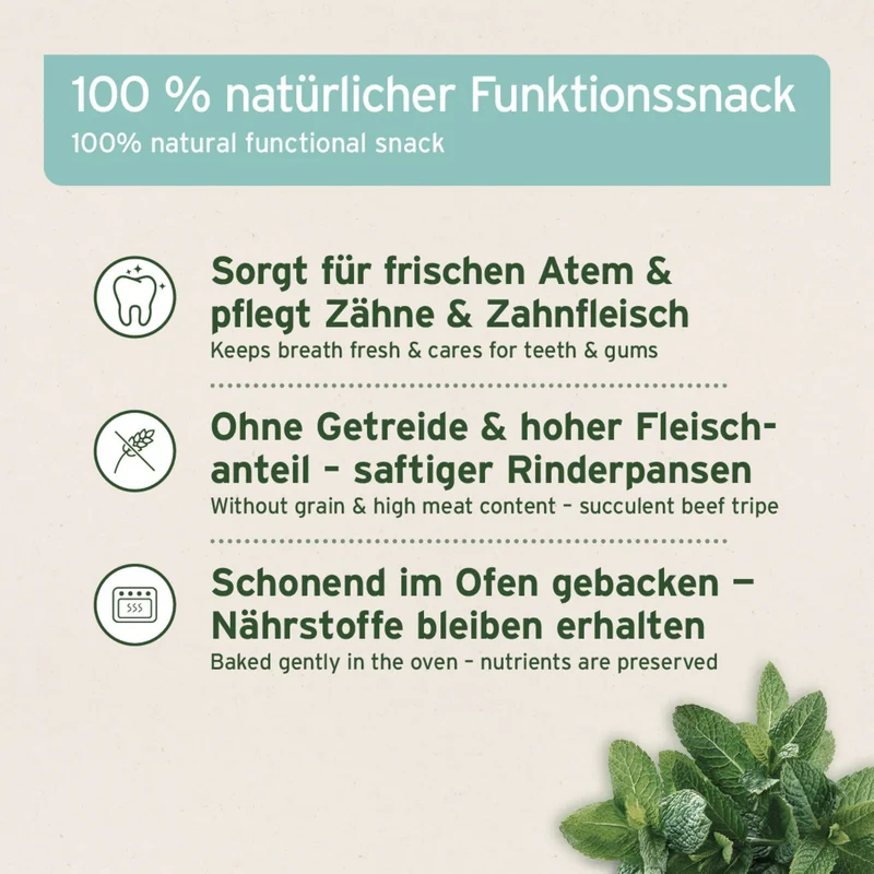 AniForte Denta-Snack für Hunde – Natürliche Zahnpflege gegen Zahnstein & Mundgeruch