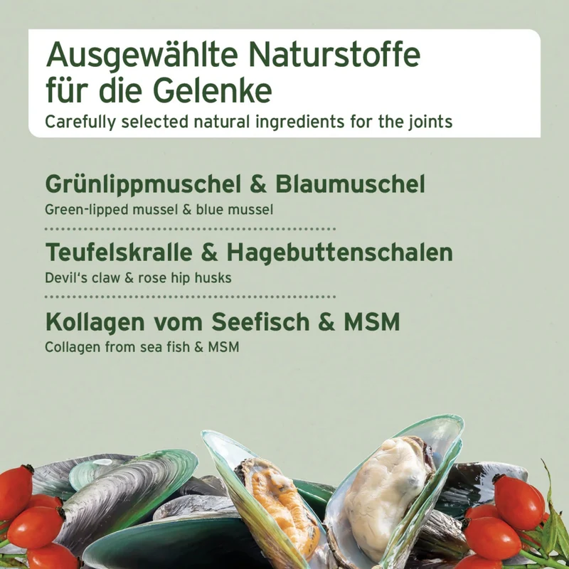 AniForte Gelenk-Snack für Hunde – Natürliche Unterstützung für Beweglichkeit & Gelenkgesundheit