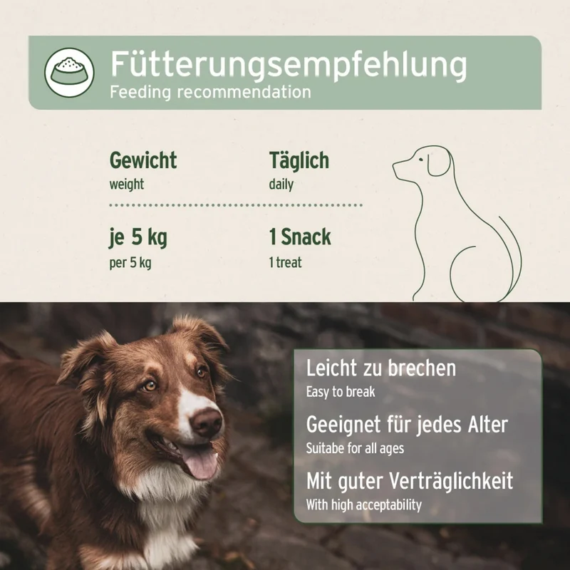 AniForte Gelenk-Snack für Hunde – Natürliche Unterstützung für Beweglichkeit & Gelenkgesundheit