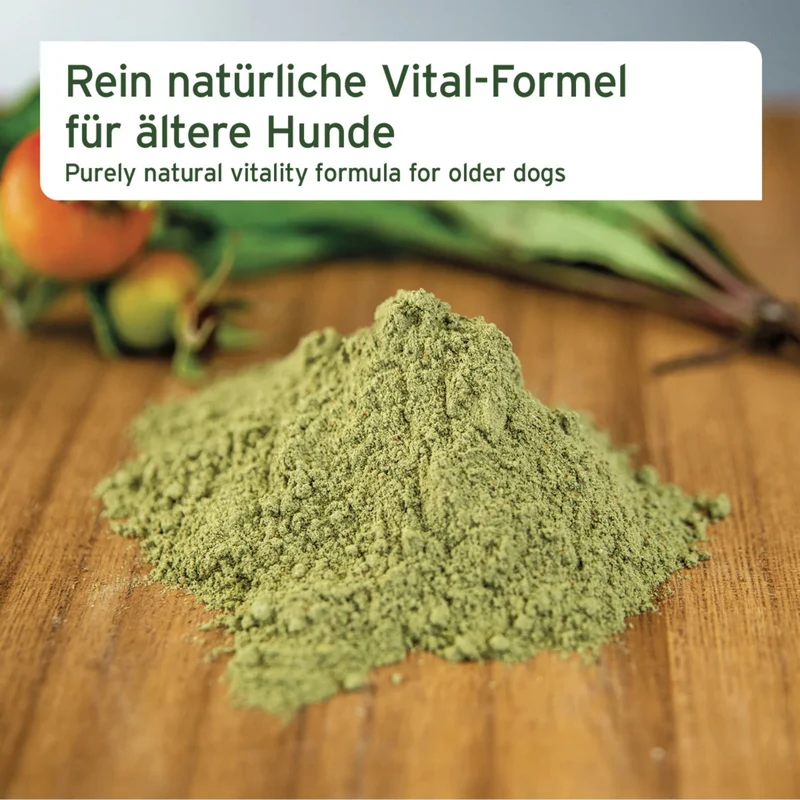AniForte Senior Active für ältere Hunde – Natürliche Unterstützung für Gelenke, Herz, Gedächtnis & Immunsystem