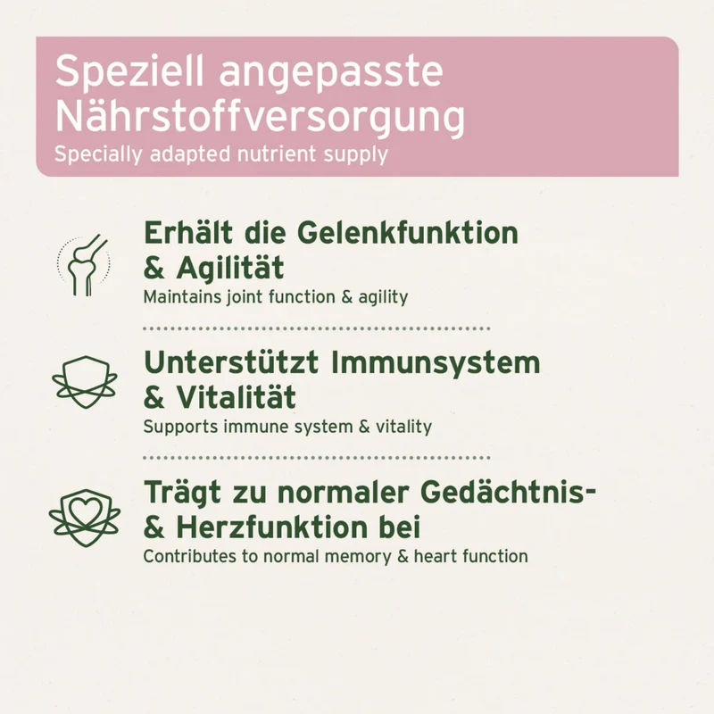 AniForte Senior Active für ältere Hunde – Natürliche Unterstützung für Gelenke, Herz, Gedächtnis & Immunsystem