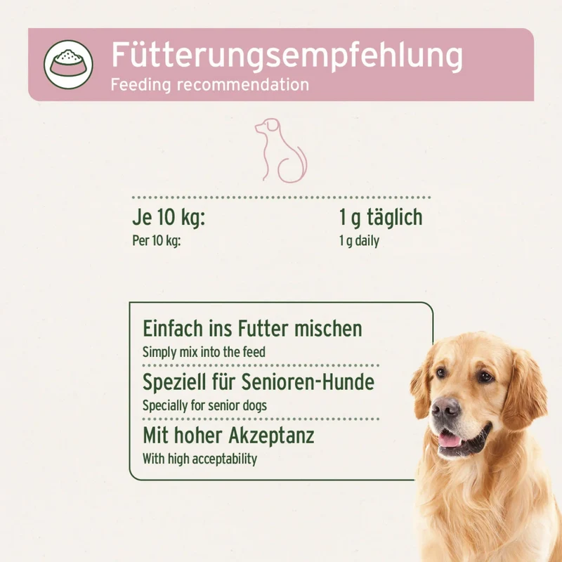 AniForte Senior Active für ältere Hunde – Natürliche Unterstützung für Gelenke, Herz, Gedächtnis & Immunsystem
