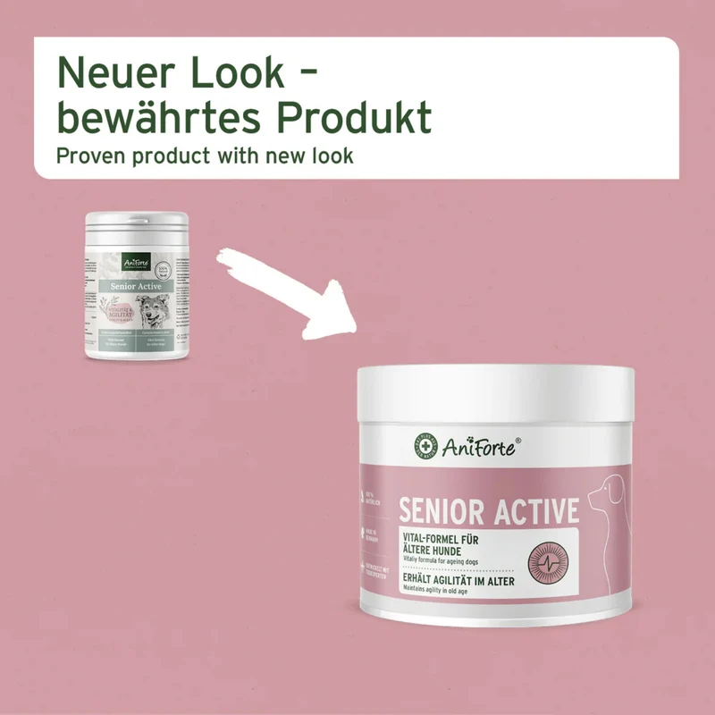 AniForte Senior Active für ältere Hunde – Natürliche Unterstützung für Gelenke, Herz, Gedächtnis & Immunsystem